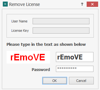 Process Runner Remove License Captcha window